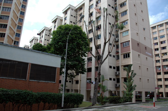 Blk 236 Bukit Panjang Ring Road (Bukit Panjang), HDB 4 Rooms #220882